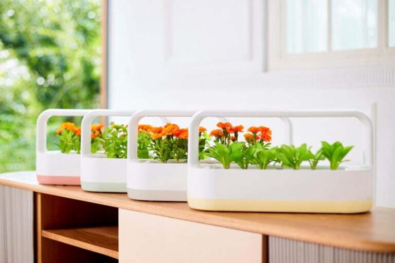 حال¬وهوای پرورش گیاهان و سبزیجات در خانه با محصول نوآورانه و پر طرفدار LG tiiun
