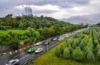 اجرای طرح جهادی فضای سبز در محورهای اصلی شمال تهران