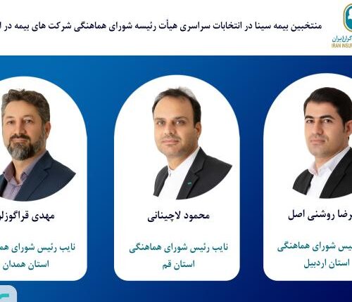 منتخبین بیمه سینا در هیئت رئیسه شورای هماهنگی بیمه استان‌ها