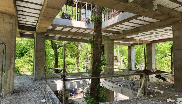 حفظ درخت چنار قدیمی در پروژه احداث سرای محله باغ فردوس/قلب ساختمانی که به نبض سبز درخت می تپد