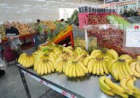 قیمت انواع میوه در میادین و بازارهای میوه و تره بار کاهش یافت