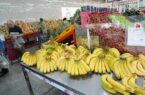 قیمت انواع میوه در میادین و بازارهای میوه و تره بار کاهش یافت