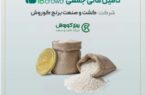 آغاز پویش تامین مالی جمعی شرکت «کشت و صنعت برنج کوروش» در سکوی آی‌بی‌کراد