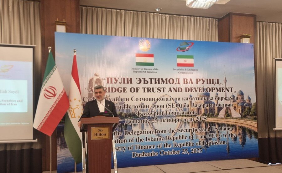 زمینه همکاری بازارهای مالی ایران و تاجیکستان فراهم است
