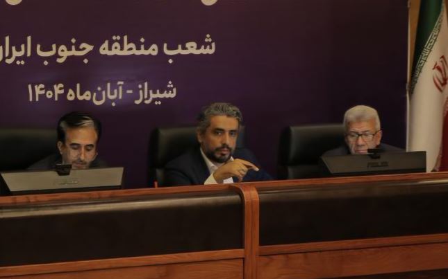 زرندی مقدم:بانک اقتصادنوین با ارائه خدمات حرفه‌ای، مشتریان خود را وفادار می‌سازد