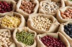 قیمت حبوبات بسته بندی شرکتی در میادین و بازارهای میوه و تره بار تهران اعلام شد